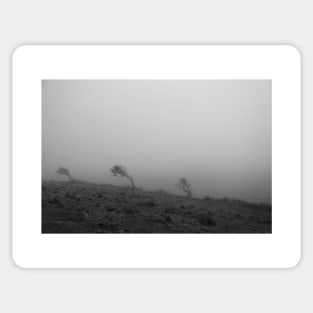 Black and White landscape photography Sticker